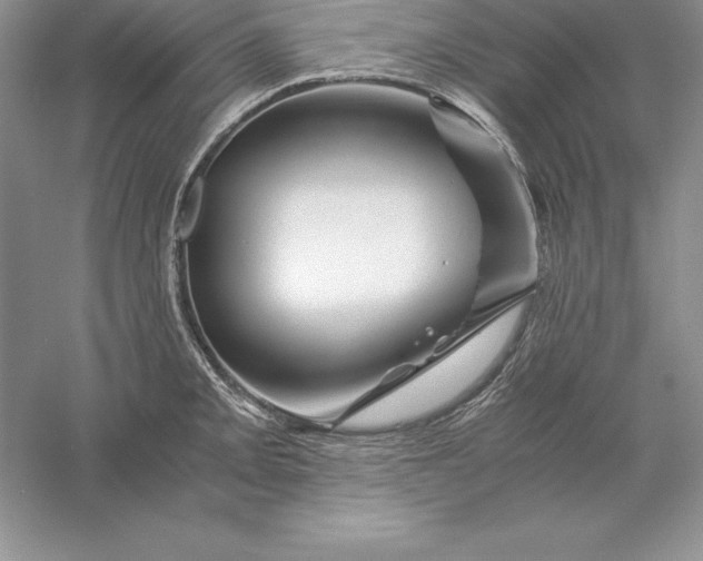 X0000055981093200509091947