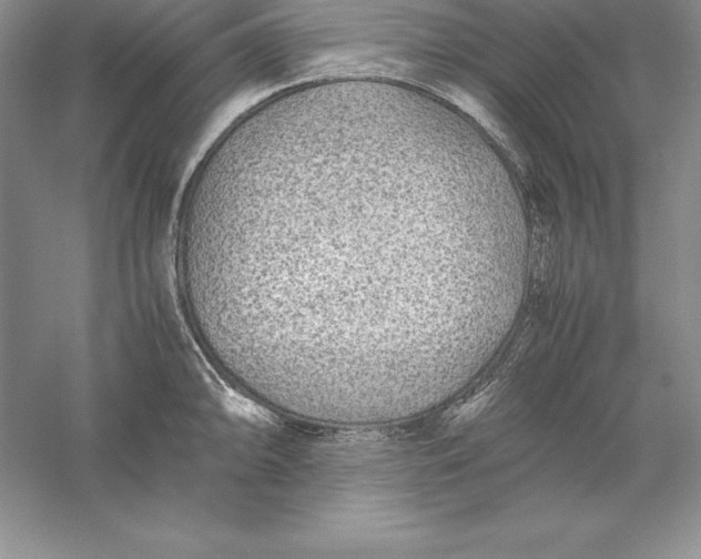 X0000055981094200509091947