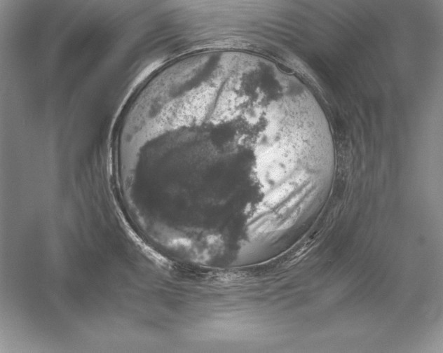 X0000055981095200509091947