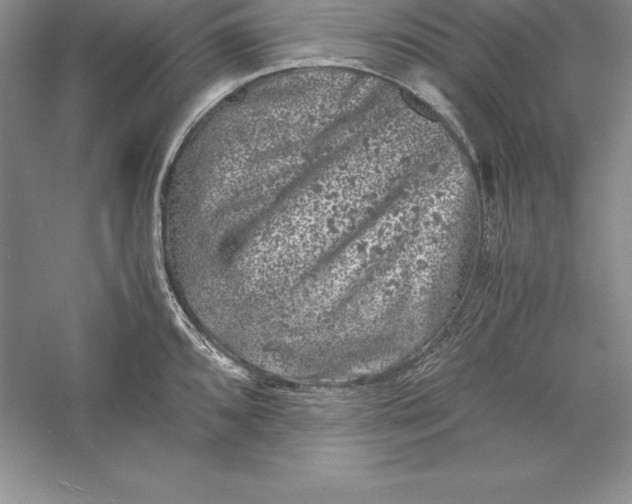 X0000055981096200509091947