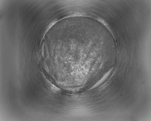 X0000055981097200509091947