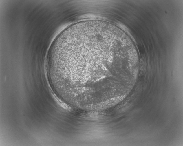 X0000055981098200509091947