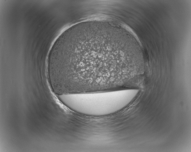 X0000055981099200509091947