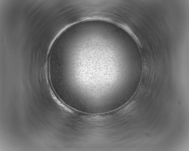 X0000055981100200509091947