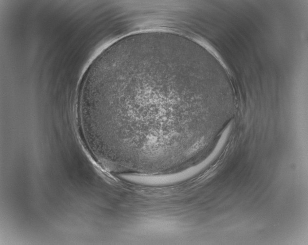 X0000055981101200509091947