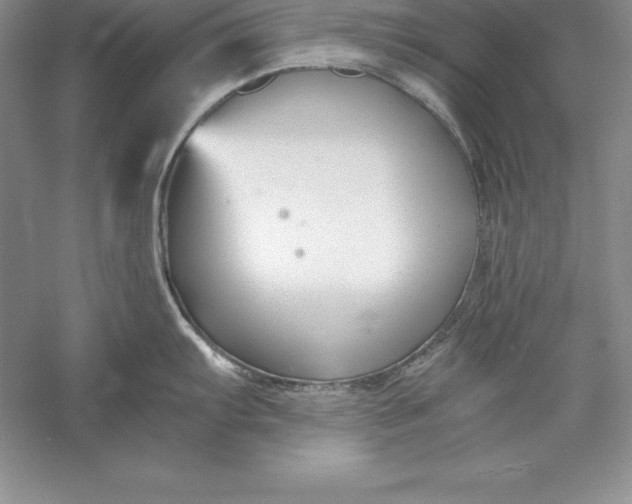 X0000055981103200509091946