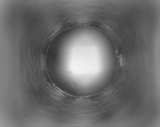 X0000055981107200509091946