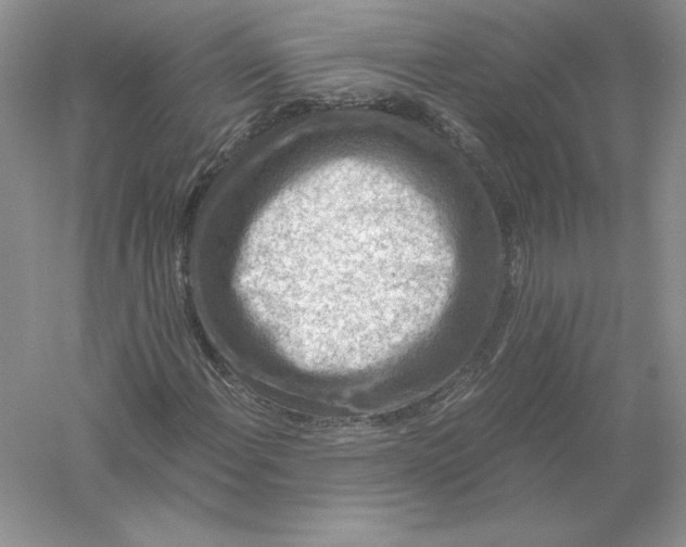 X0000055981108200509091946