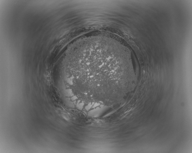 X0000055981109200509091946