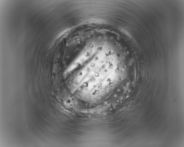 X0000055981112200509091946