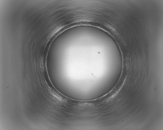 X0000055981113200509091946