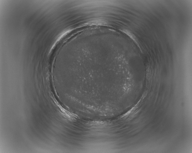 X0000055981115200509091946