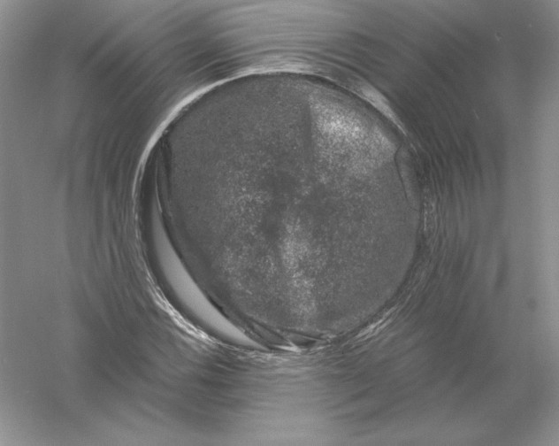 X0000055981116200509091946