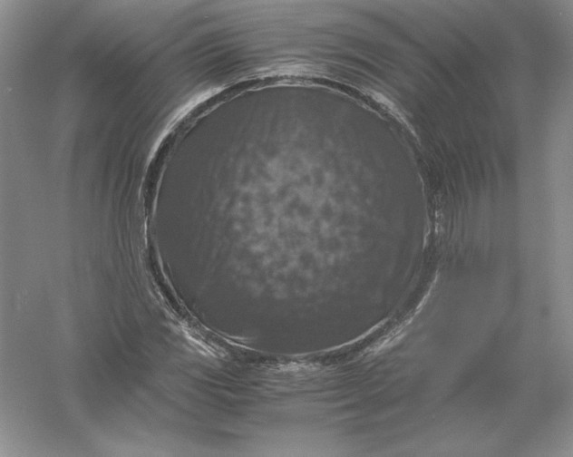 X0000055981117200509091946