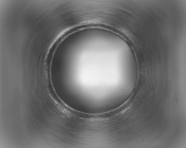 X0000055981118200509091946