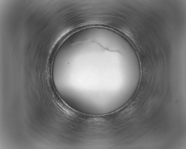 X0000055981119200509091946