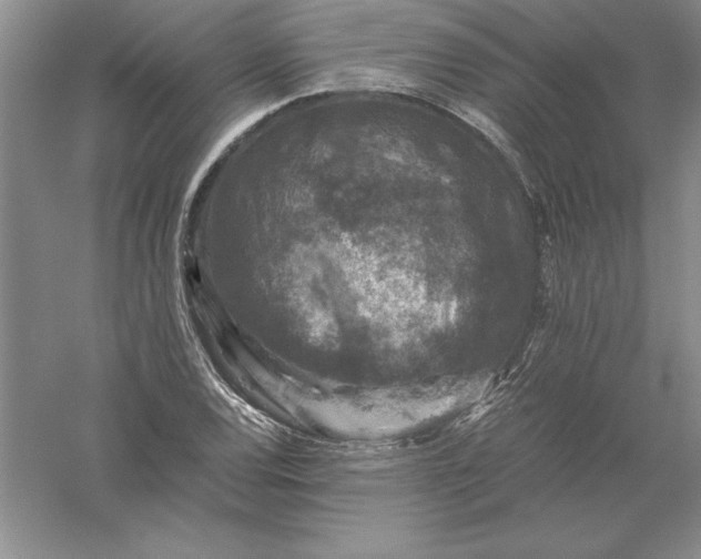 X0000055981120200509091946