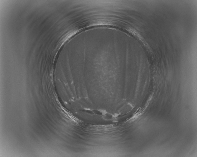 X0000055981121200509091946