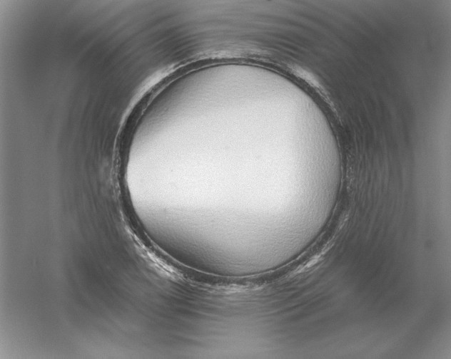 X0000055981122200509091946