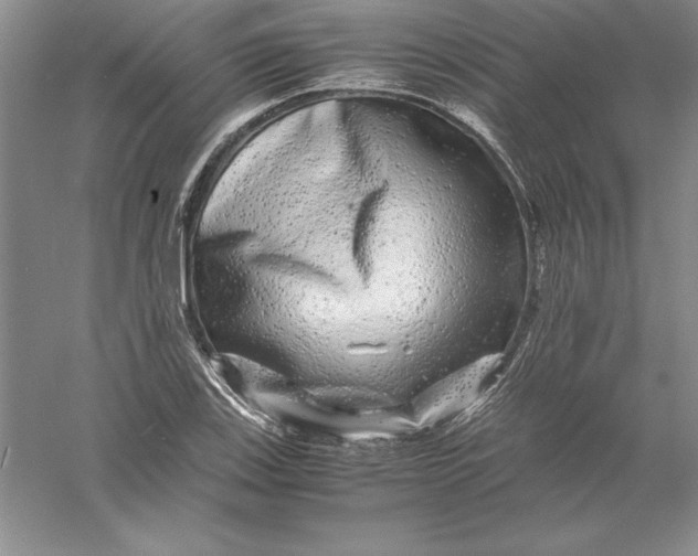 X0000055981123200509091946