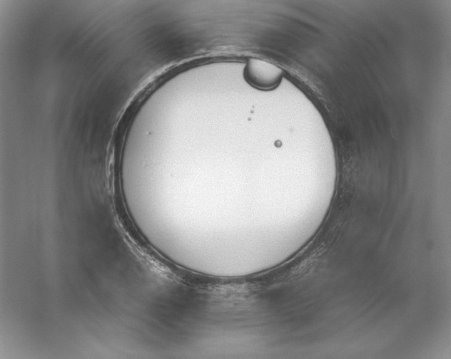 X0000055981126200509091946