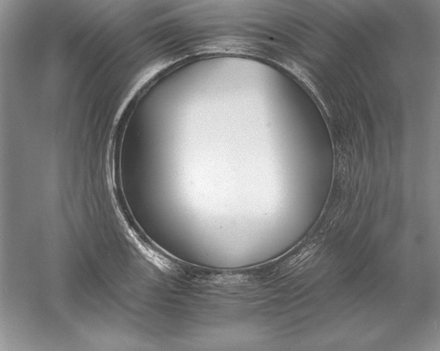 X0000055981131200509091946