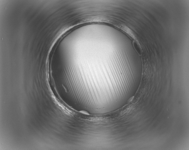 X0000055981132200509091946