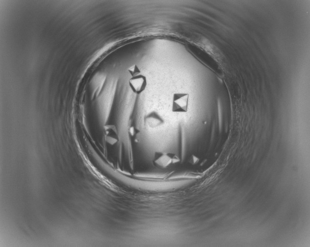 X0000055981134200509091946