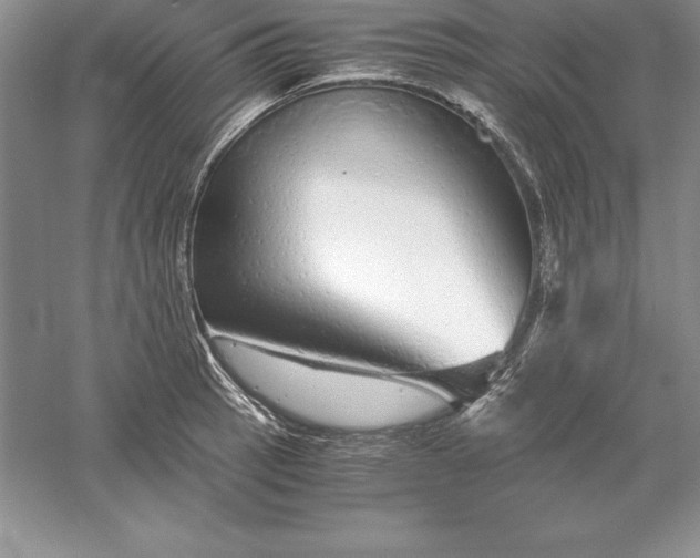 X0000055981137200509091946