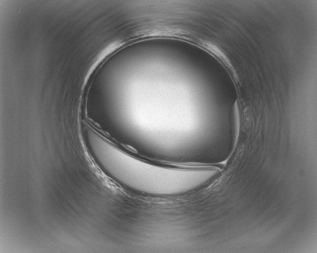 X0000055981138200509091946