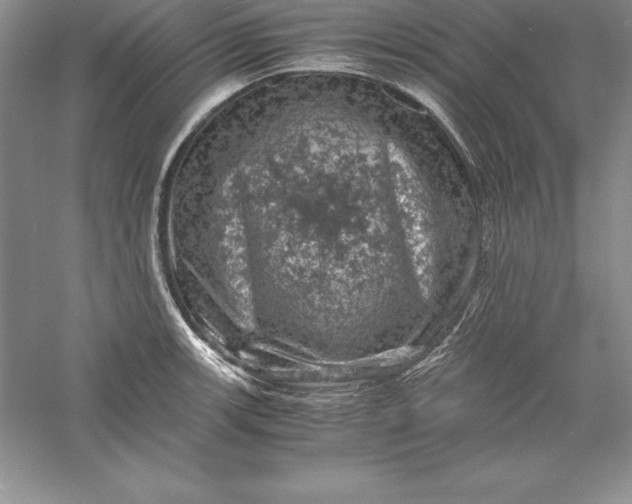 X0000055981139200509091946