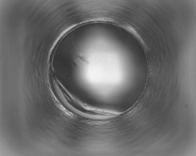 X0000055981140200509091946