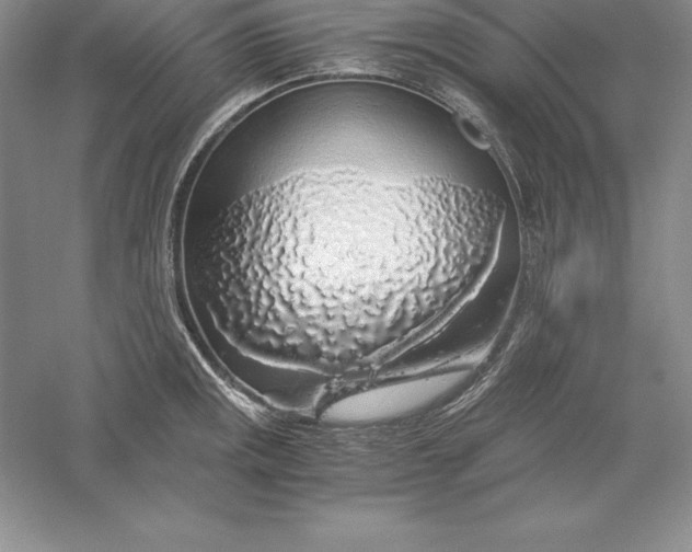 X0000055981141200509091946