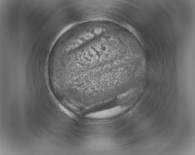 X0000055981142200509091946