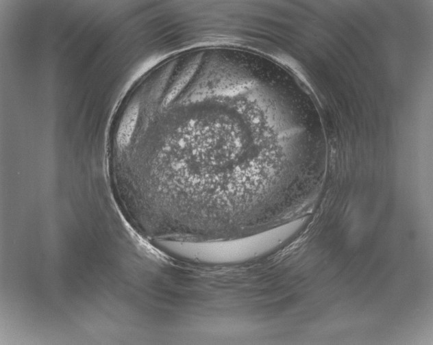 X0000055981143200509091946