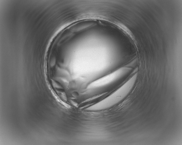 X0000055981144200509091946