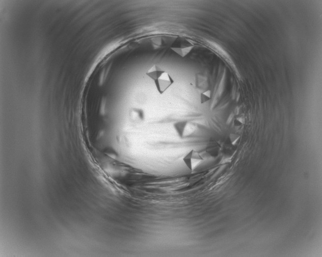 X0000055981146200509091946