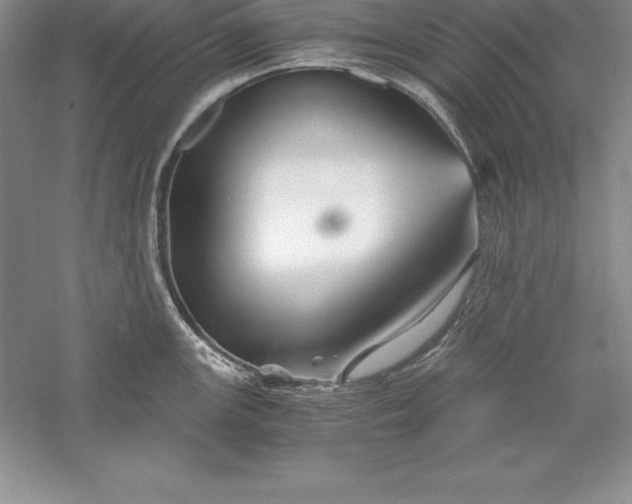 X0000055981147200509091946