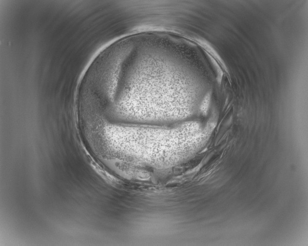 X0000055981148200509091946