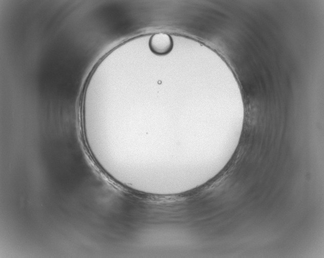 X0000055981150200509091946