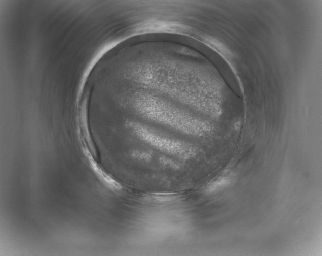 X0000055981152200509091946