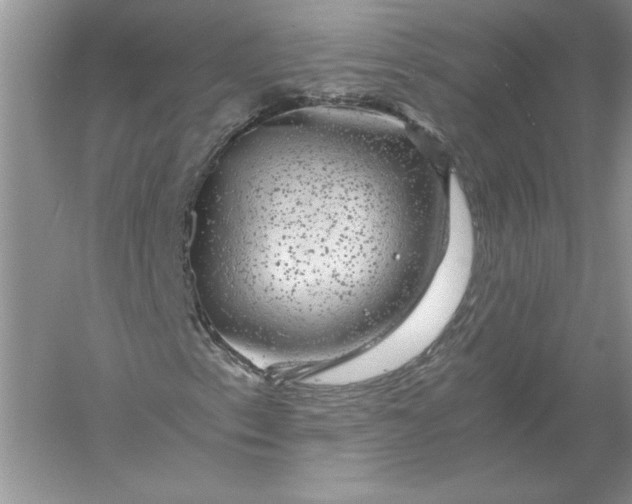 X0000055981153200509091946