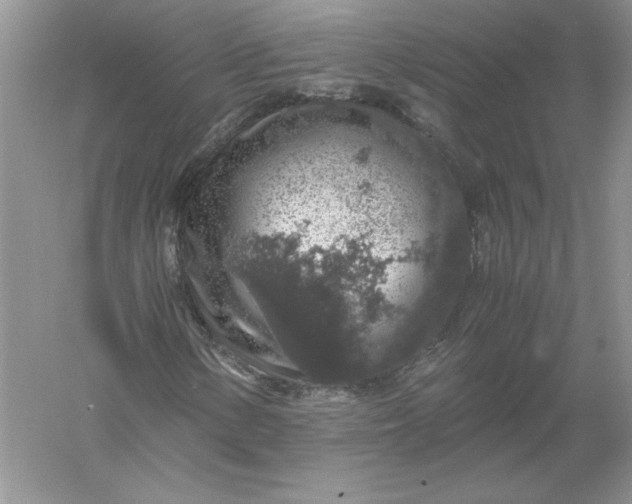 X0000055981154200509091946