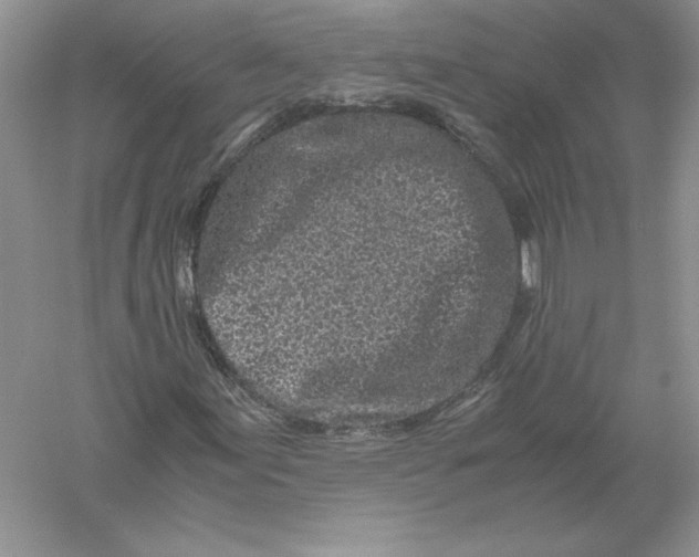 X0000055981155200509091946