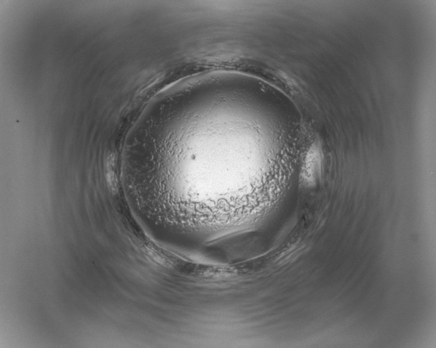 X0000055981156200509091946