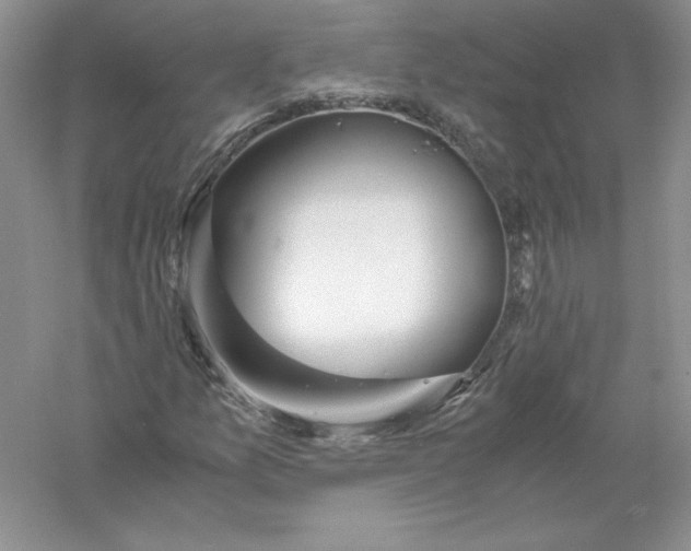 X0000055981157200509091946