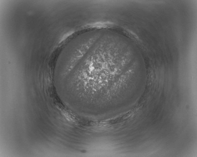 X0000055981158200509091946