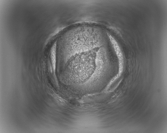 X0000055981159200509091946