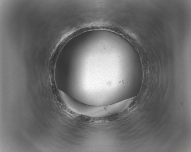 X0000055981160200509091946