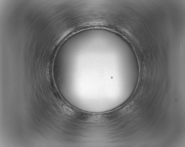 X0000055981162200509091945